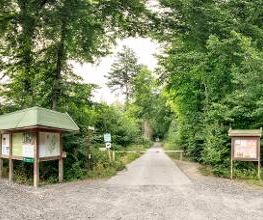 FriedWald Bramsche Bild 13