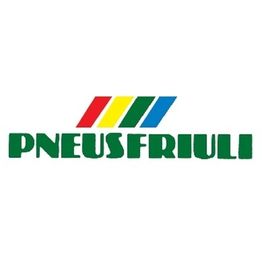 Pneusfriuli logo
