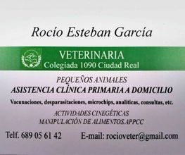 rocio-esteban-garcia-tarjeta-03.jpg