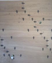 Sté Hubert Payen image 6