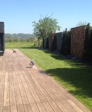 Schefer's Garten GmbH Bild 6