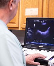 Highlands-Eldorado Veterinary Hospital image 20