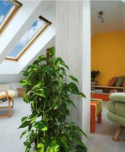 Main Dachfenster Bild 1