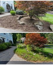 Fiorella Lawn & Landscaping image 1
