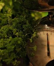 Frischmärit Bichsel (Blumen, Früchte & Gemüse) Bild 2