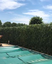 Vert'gex Paysages EURL image 9