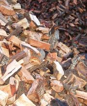 Leñas Julio imagen 11