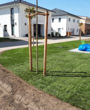 Rollrasen verlegen - fertiges Ergebnis von GreenFairway e.K.