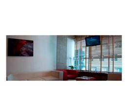 foto-03-g.jpg