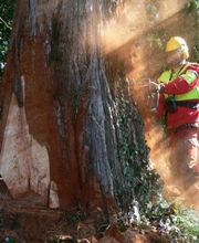 Hatt Gartenbau Bild 11