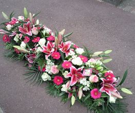 L´Orchidia image 18