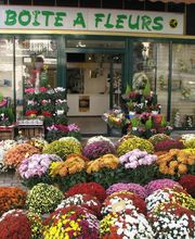 AM Déco Fleurs image 11