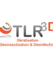 TLR3D image 2