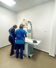 ClinicVet Vétérinaire Beaumont-le-Roger image 11