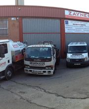 Zayner imagen 2