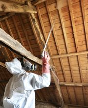 Agence Antiparasitaire Du Bois Pontivy image 5