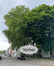 Nadrowski Baumdienst Bild 4