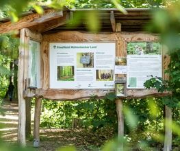 Die Infotafel am Parkplatz gibt einen Überblick über den Wald und das Konzept.