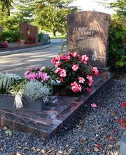 Clément Borlat et fils Bild 2