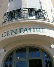 Centaurea image 3