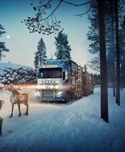 Naudin Pierre Et Fils SARL image 7