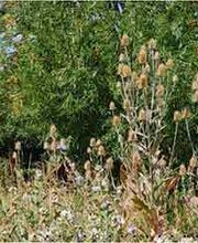 AWO Bürgerhaus Drebach Bild 7