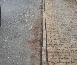 GebäudeService Baumann Bild 5
