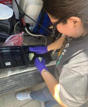 SafeHaven Pest Control image 18