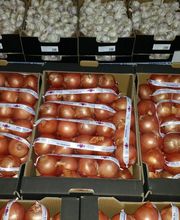 CEBESTUR,S.L. imagen 9