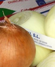 CEBESTUR,S.L. imagen 1