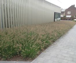 Herman Vaessen afbeelding 13