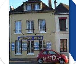 Dilo89 Immobilier image 1