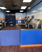 All Star Pet Care Grooming & Self Wash image 5