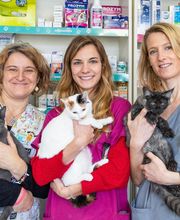 Clinique Vétérinaire des 2 Vallées image 19