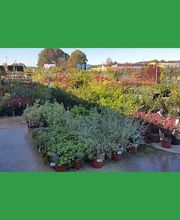 Notre Jardin Propre image 15