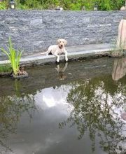 T.Fischer Dienstleistungen Bild 3