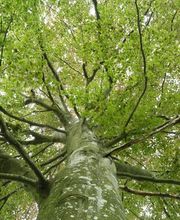 Ana Andueza image 11