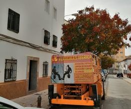 trabajos_verticales_armilla_4.jpeg