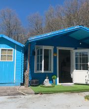 Van Tilbeurgh Sophie image 5