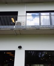 Lieser - mehr als nur Fitness Bild 16