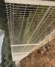 Bertoncini Julie image 14