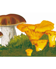 Baier Georg GmbH Bild 7