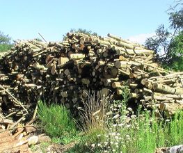 Forez Combustibles Eco image 4