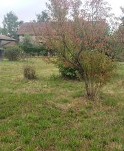 Ted Multiservices image 5