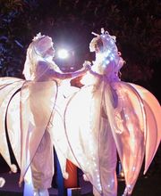 Dierickx Events image 20