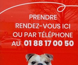 Animalis Pierrelaye image 3