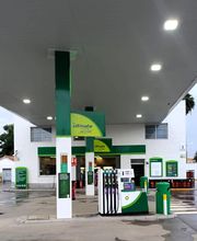 bp imagen 3