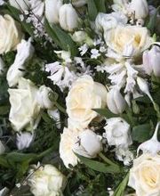 Pompes Funèbres Canard SARL image 1