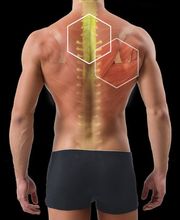 Körperformen Pinneberg - EMS Gesundheitsstudio Bild 2