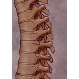 Dr BELKEBIR - KARAKOSTAS - ZIAKA